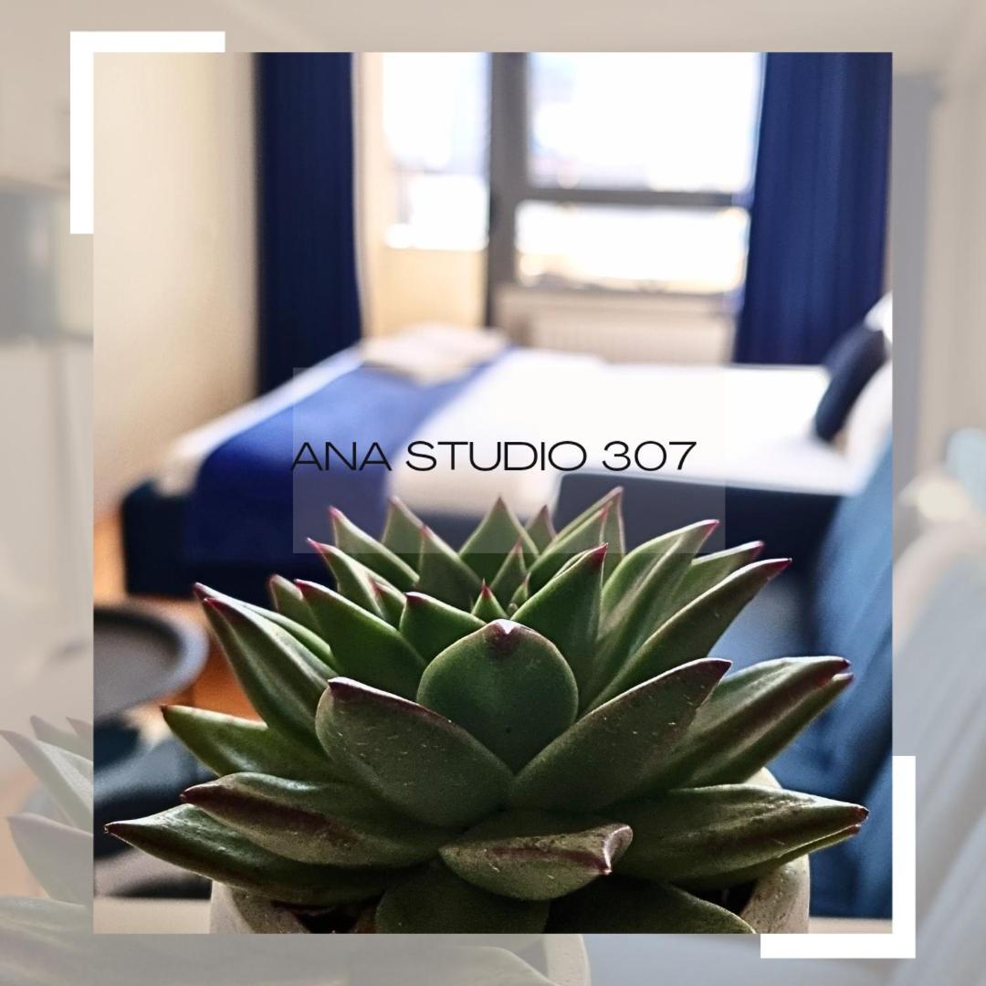 Ana Studio 307 Apartment Prishtinë Luaran gambar
