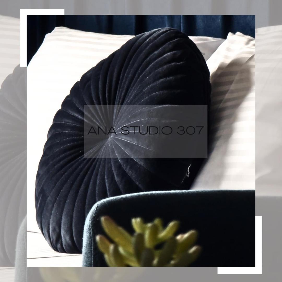 Ana Studio 307 Apartment Prishtinë Luaran gambar